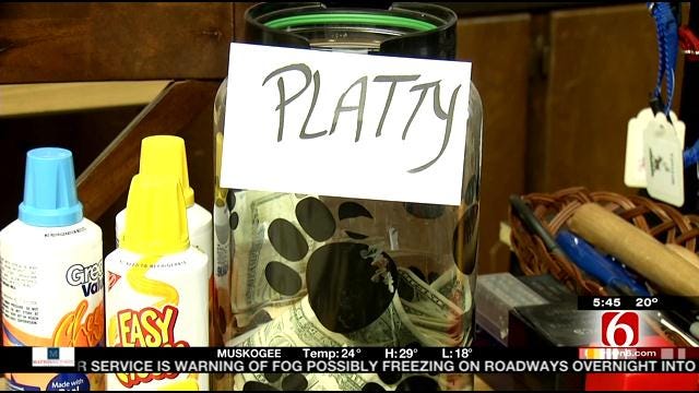 Tulsa Special Needs Dog 'Platty' Draws A Crowd