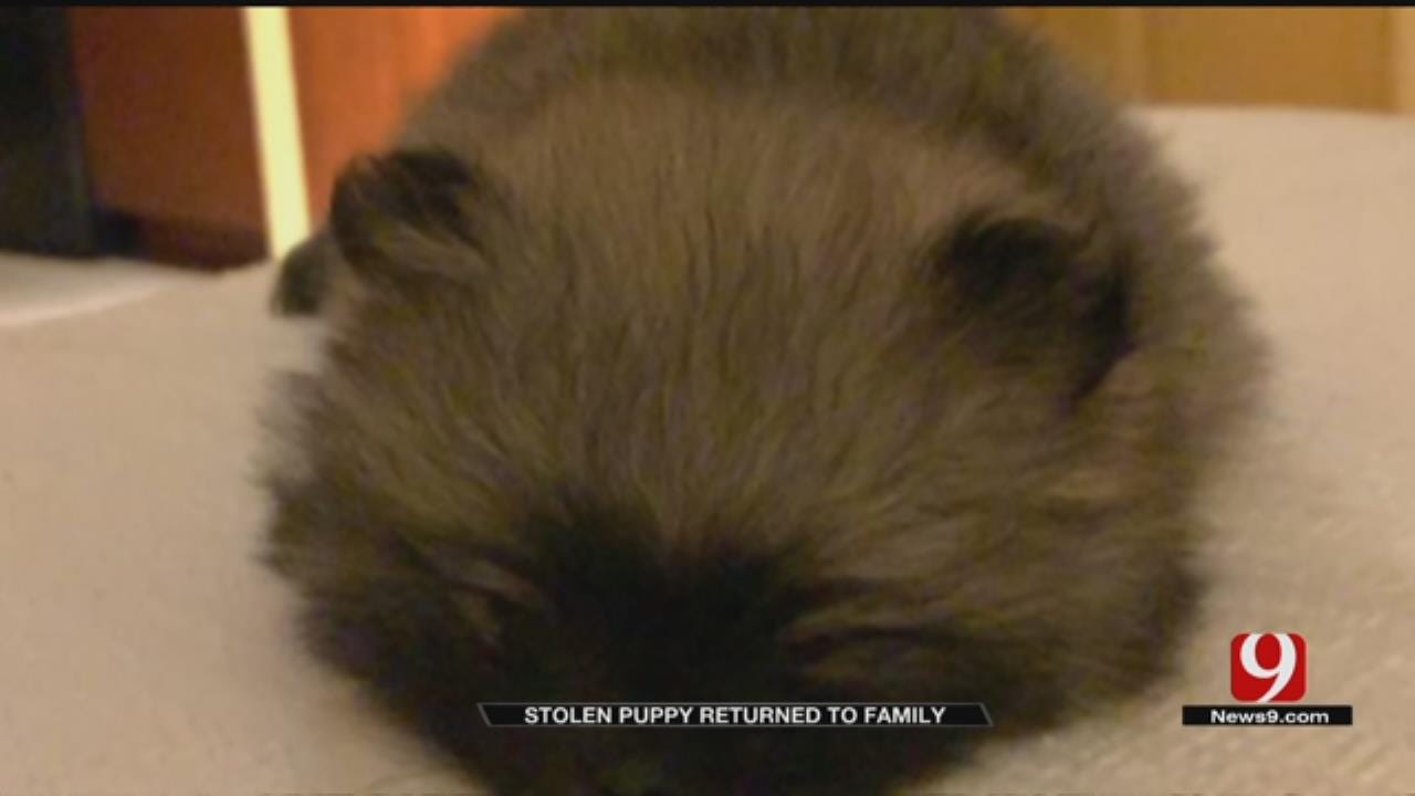Stolen Puppy Returned To Army Soldier's Family