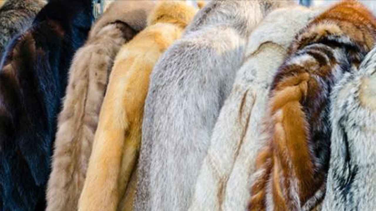 Macy's Announces It Will Stop Selling Fur By End Of 2020 Fiscal Year