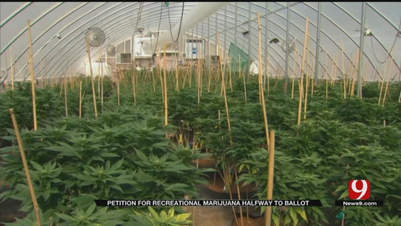 Recreational Marijuana Petition Halfway Toward Goal