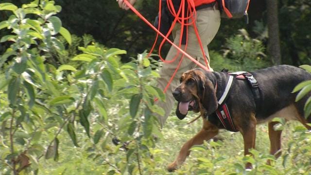 Rogers County Deputies Tune Up Rescue Skills