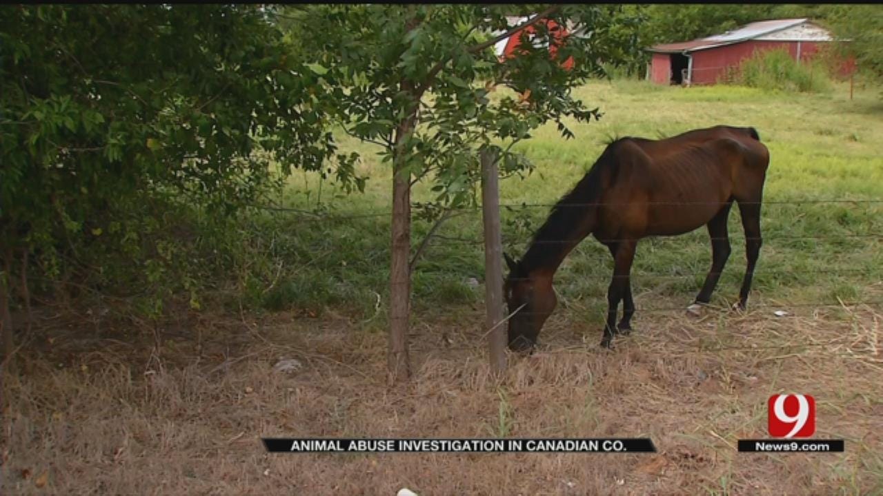 Animal Abuse Investigation Underway In Canadian County