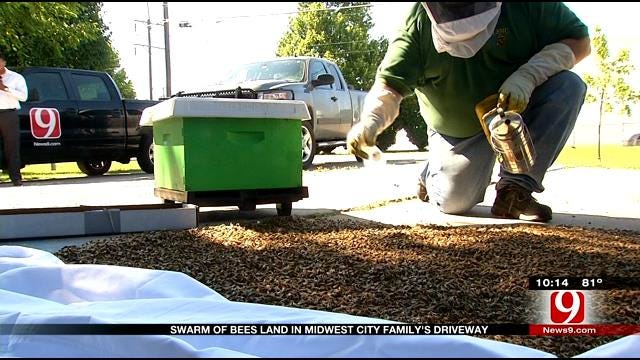 Swarm Of Bees Land In Midwest City Family's Driveway