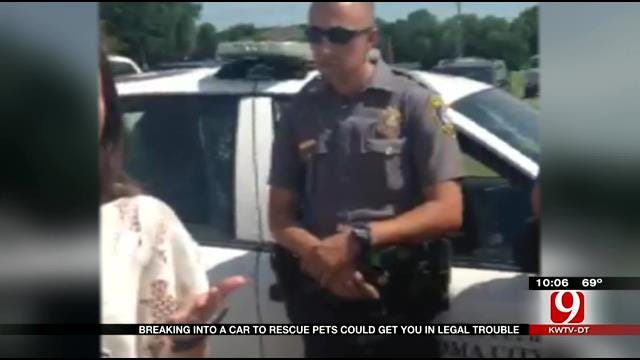 Dogs In A Hot Car Leads To Legal Lesson