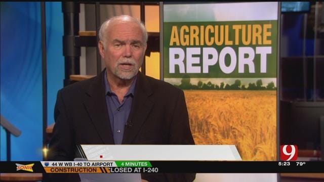 AG REPORT: Wheat Producton In Oklahoma