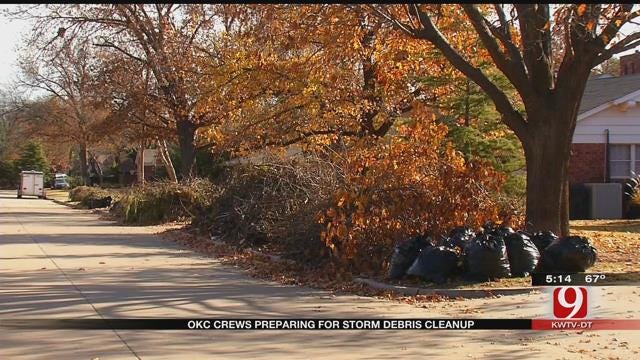 Tree Limb Removal Could Take Months