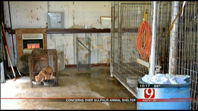 Sulphur Animal Shelter Under Fire For Alleged Animal Cruelty