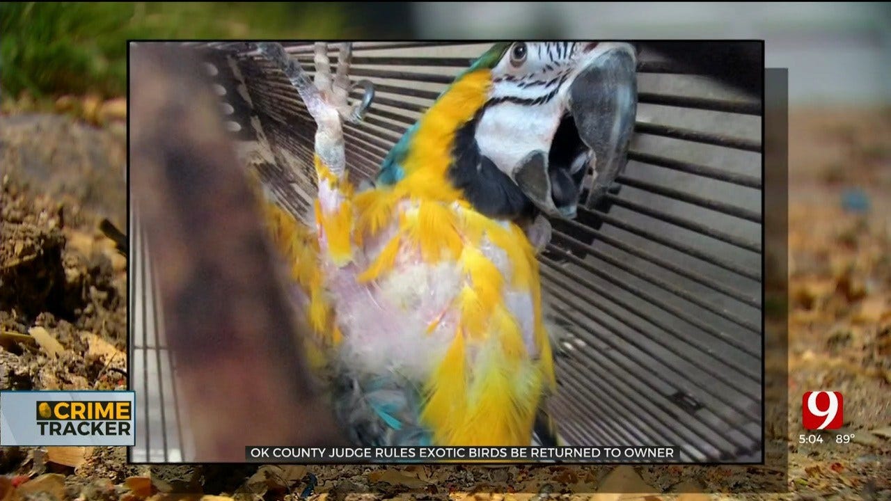 Oklahoma County Judge Rules Animal Control Illegally Seized Exotic Birds From Owner