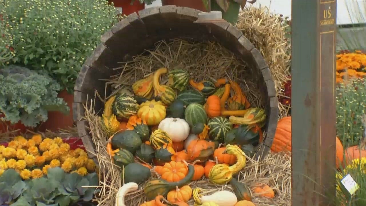 WEB EXTRA: Video From Broken Arrow's 'A New Leaf' Fall Fest