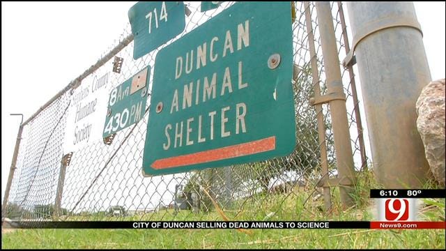 City Of Duncan Selling Dead Animals For Science