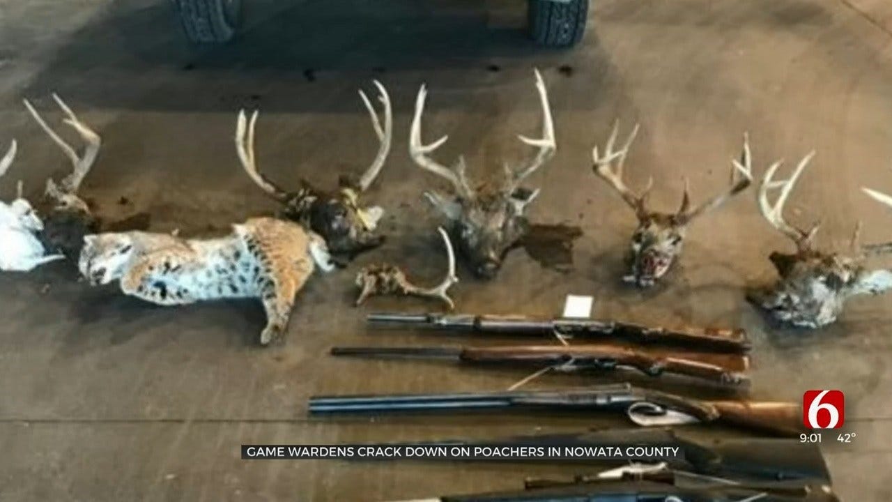 2 Nowata Co. Men Accused Of Poaching Several Deer