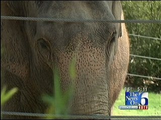 Tulsa Zoo 'Elebration' Set For Labor Day Weekend