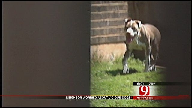 Family Concerned Over Pit Bull Attacks In SW OKC Neighborhood