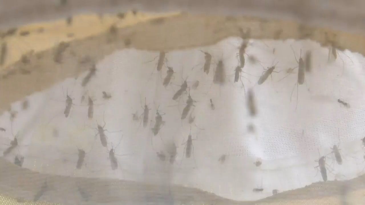 Michigan Sounds Alarm On Mosquito-Borne Virus After 3 Deaths