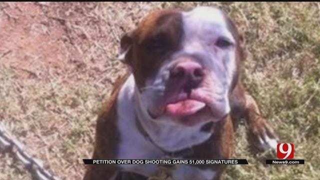 Petition Over Wynnewood Dog Shooting Gains 51,000 Signatures