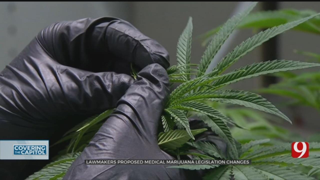 State Lawmakers Propose Medical Marijuana Legislation Changes