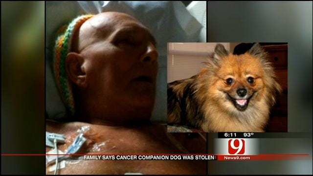 Dog Who Helped Man Fight Cancer Stolen From OKC Home