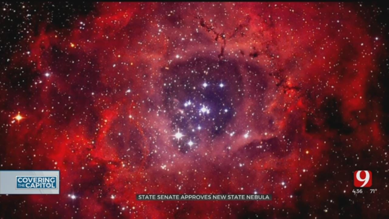 State Senate Approves New State Nebula