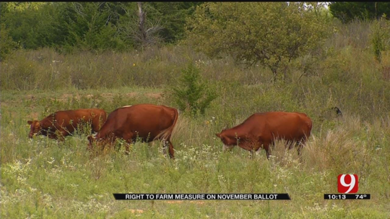 9 Investigates: Right To Farm Measure On November Ballot