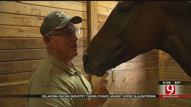 Oklahoma Racing Industry Takes Stance Against Horse Slaughtering
