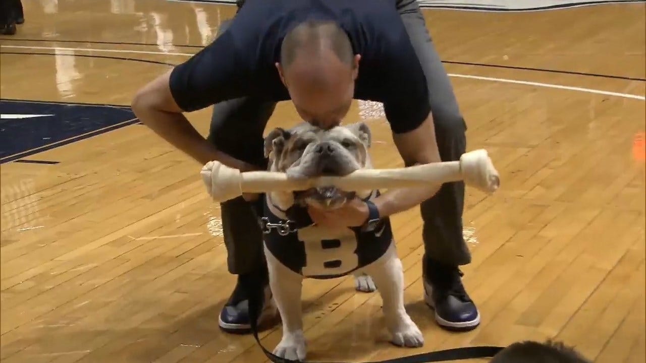 Butler University's Mascot Retiring After 7 Years Of Sparking Joy With Fans