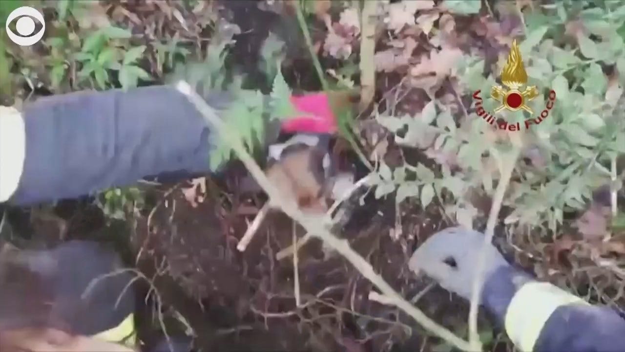 WATCH: Puppies Rescued From Hole In Italy