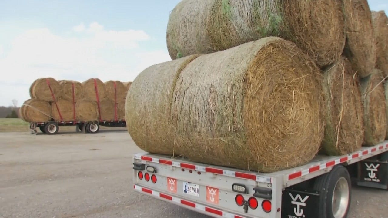 Green Country Ranchers Collecting What They Can For Wildfire Victims