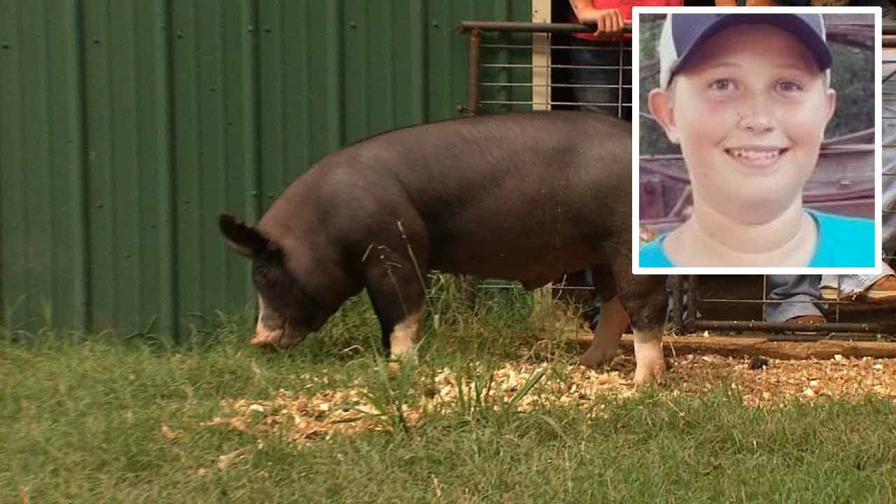 Show Pig Sells For Thousands To Honor Late Locust Grove Teen