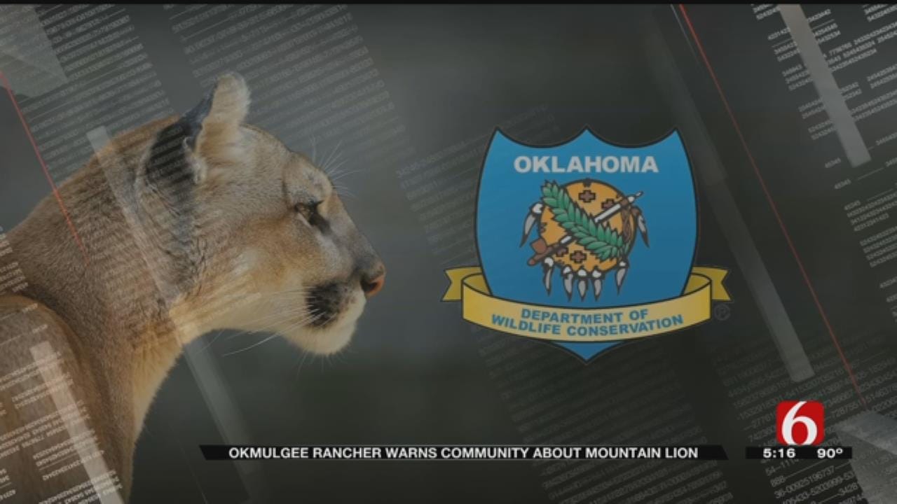 Okmulgee Rancher Warns Community Of Mountain Lion Attacks