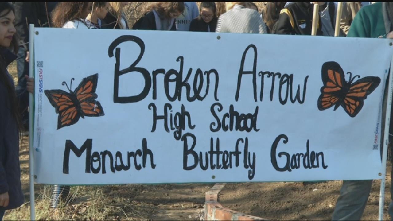 Broken Arrow Students Build Garden To Save Monarch Butterflies