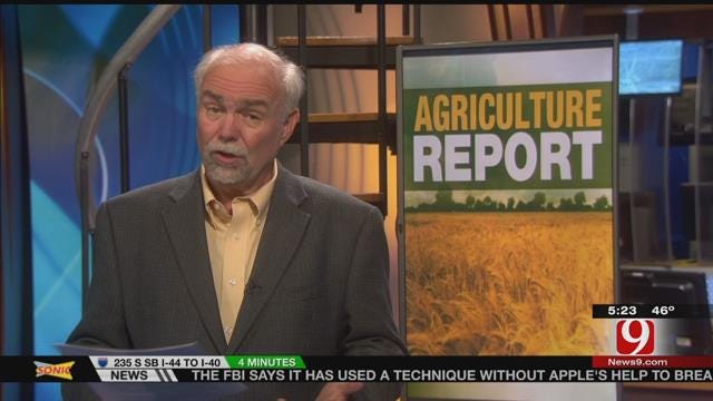 Agriculture Report: Wheat Taking a Big Hit