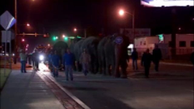WEB EXTRA: Video Of Circus Elephants Walking In Downtown Tulsa