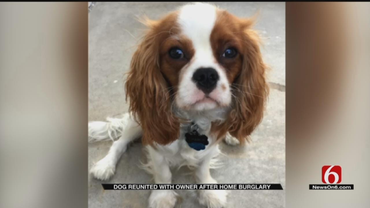 Tulsa Burglary Victim Reunites With Stolen Puppy