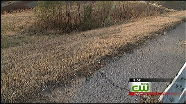 Tulsa Driver Credited With Saving Life Of Woman In Ditch
