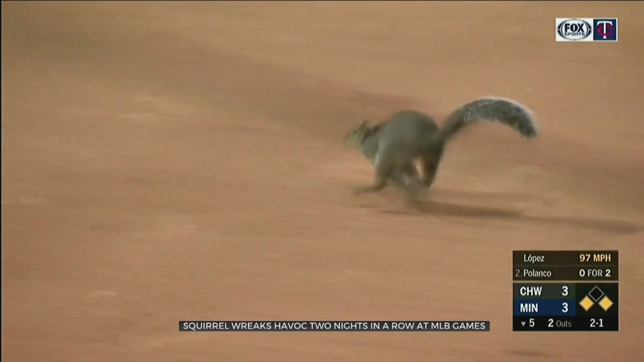 WATCH: Squirrel Causes Baseball Game Delays