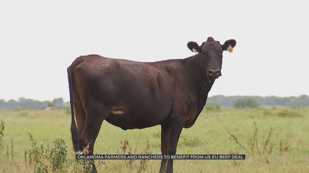 Increased Beef Exports May Help Oklahoma Ranchers
