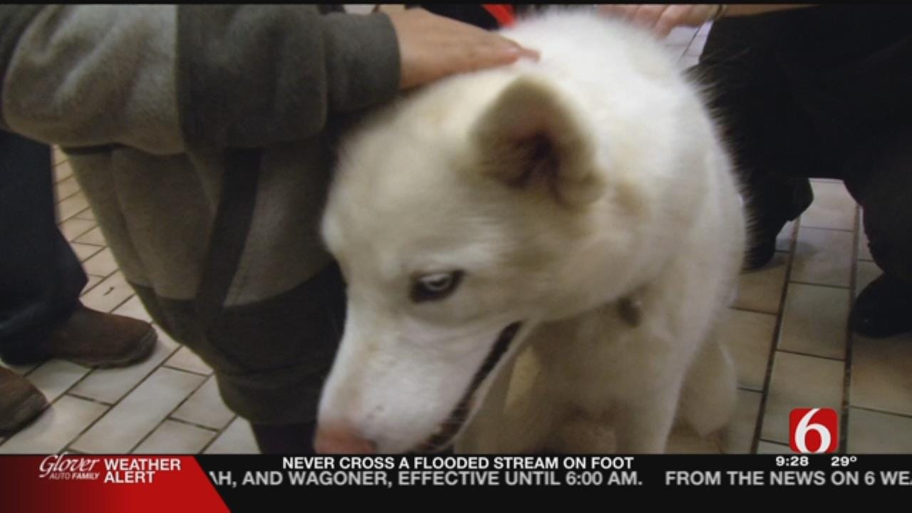Families Reunited With Pets Rescued From Horrid Conditions At Dog Trainer's Home In Skiatook