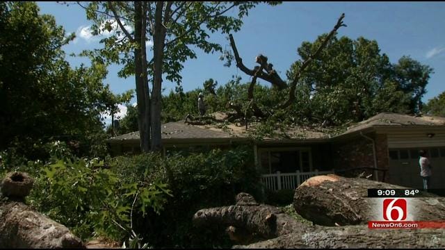 Tulsa Insurance Agent Answers Questions About Who Pays For Tree Damage