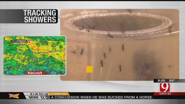 Federal Officials: Zika Virus Scarier Than Initially Thought