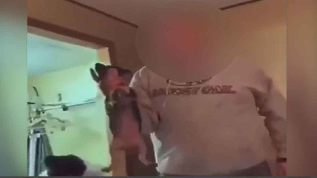 Snapchat Video Shows Juvenile Allegedly Abuse Puppy, Police Investigate
