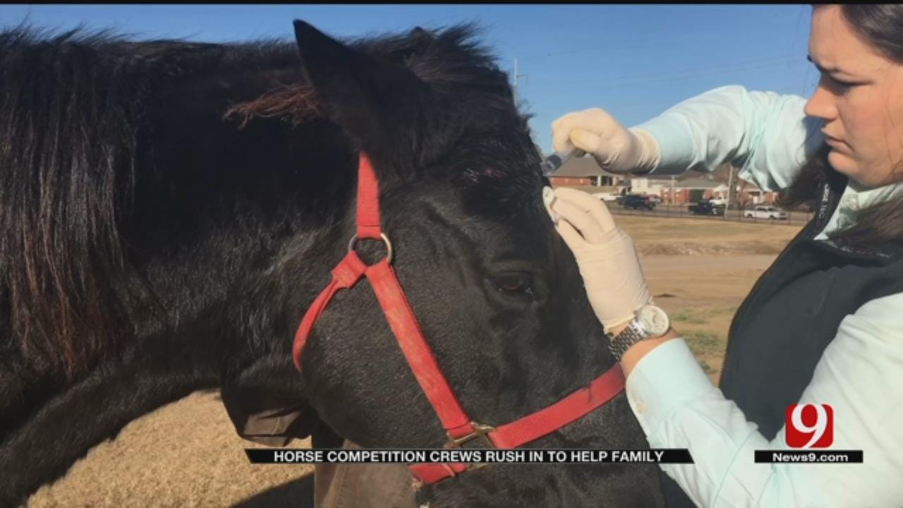 Horses Injured In OKC Rollover Crash Find Help At NRHA Futurity