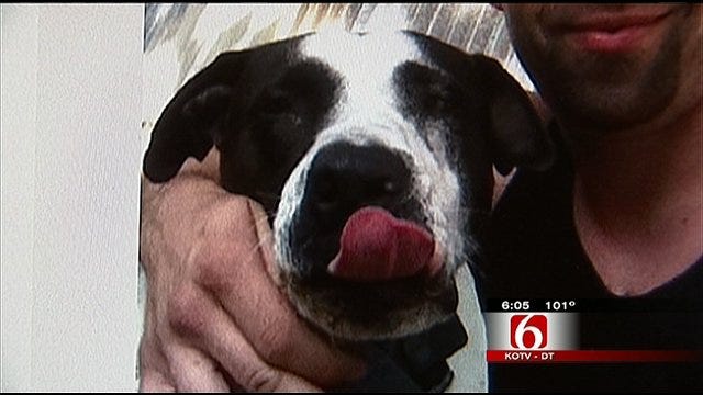 Pit Bull That Attacked Rogers County Girl Won't Be Put Down