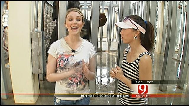 Christina And Lauren Go 'Behind The Scenes' At The OKC Zoo