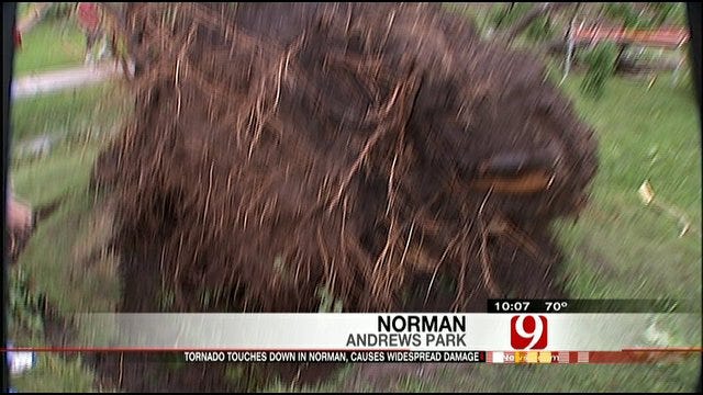 Norman Trees Devastated By Tornado