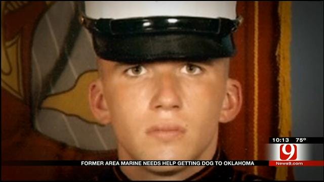 Former Area Marine Needs Help Getting Dog To Oklahoma