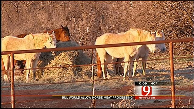 New Bill Would Allow Horse Meat Processing In Oklahoma
