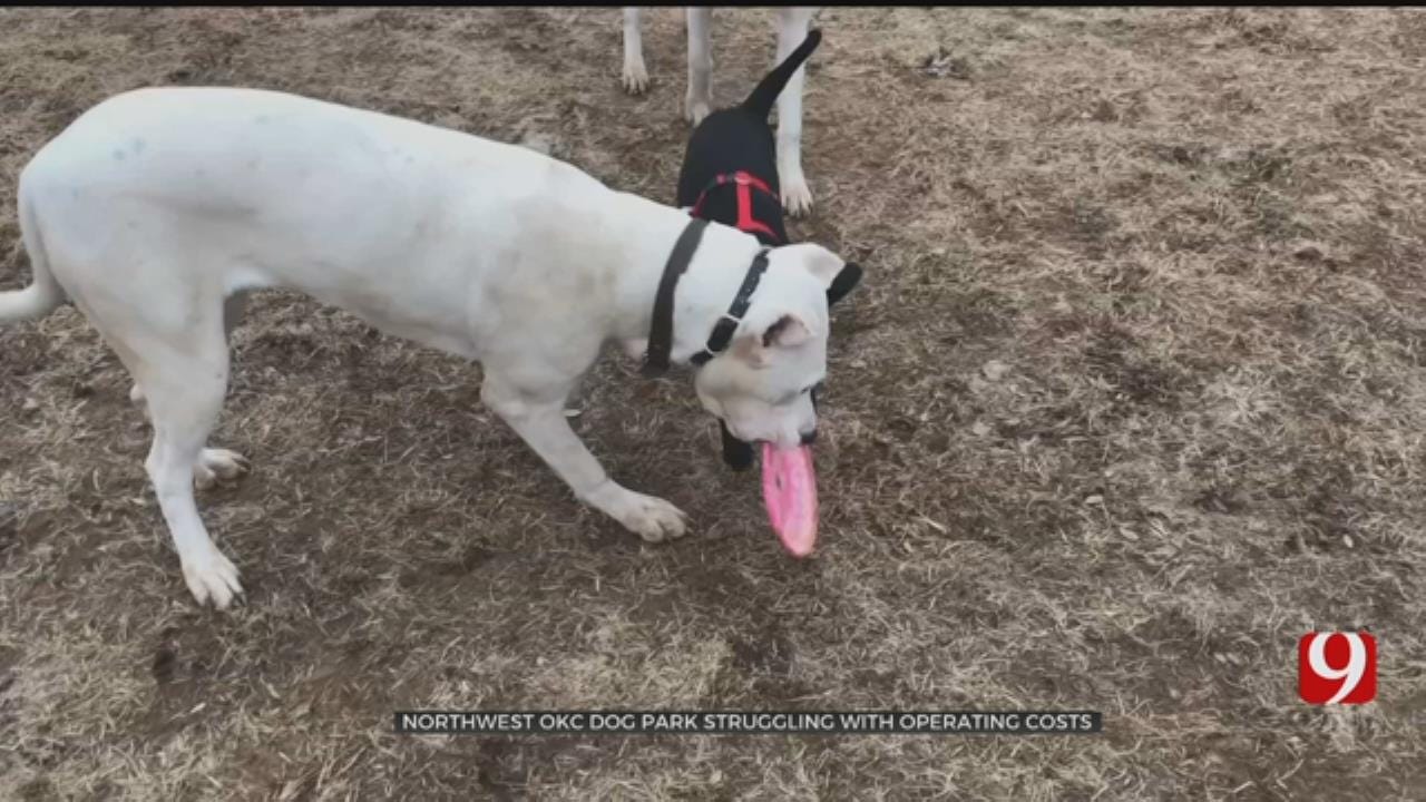 OKC Paw Park Considering Member Fees After Decline In Donations