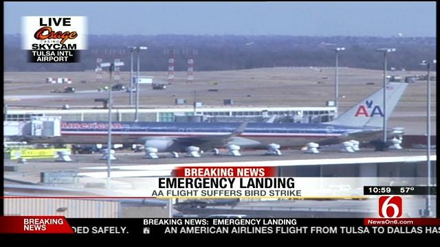 American Airlines Flight Leaving Tulsa Strikes Bird, Returns To TIA
