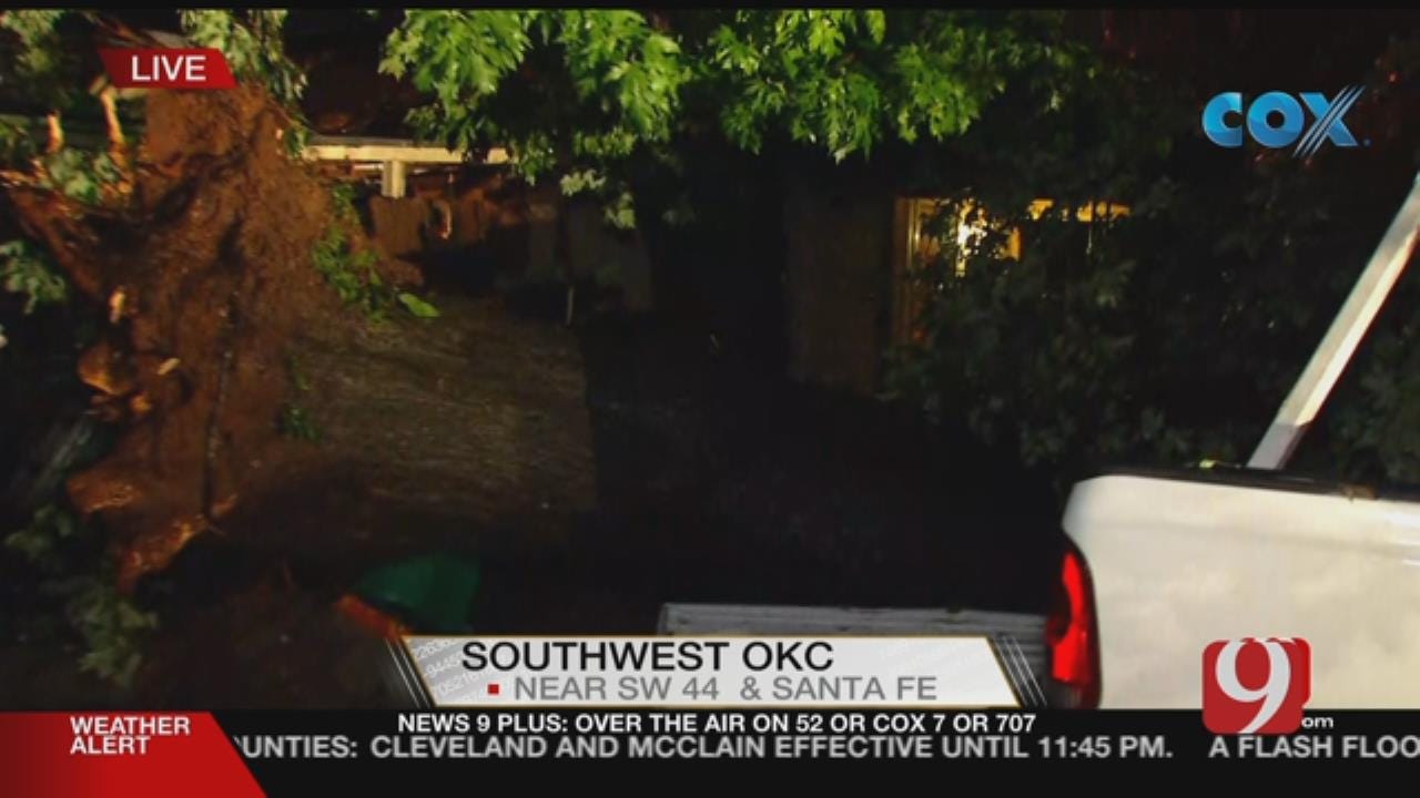 Tree Drops Down On Metro Man's Pickup Truck During Severe Storm