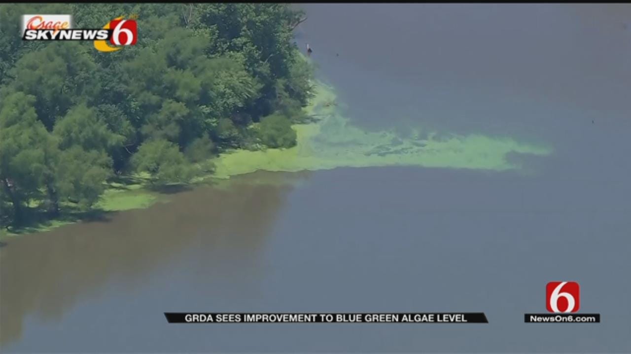 Blue Green Algae Levels Decreasing At Grand Levels